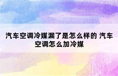 汽车空调冷媒漏了是怎么样的 汽车空调怎么加冷媒